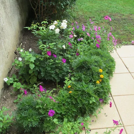 D'hotes Moncel-sur-Seille